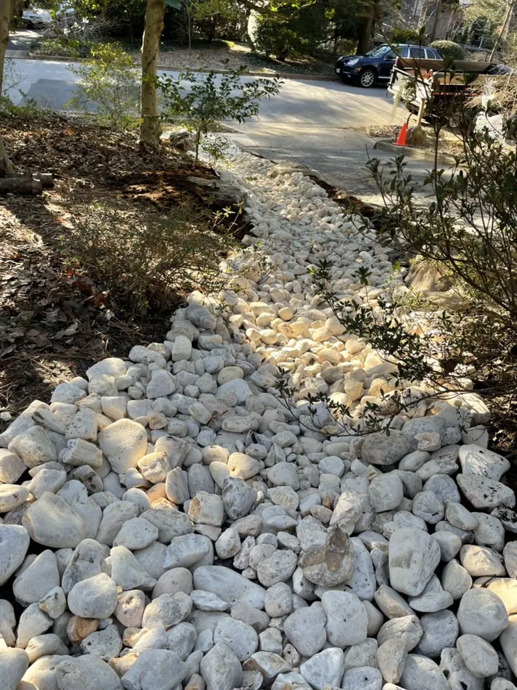 Trusted landscape design for year-round maintenance across Alexandria, VA - Cortes Landscape