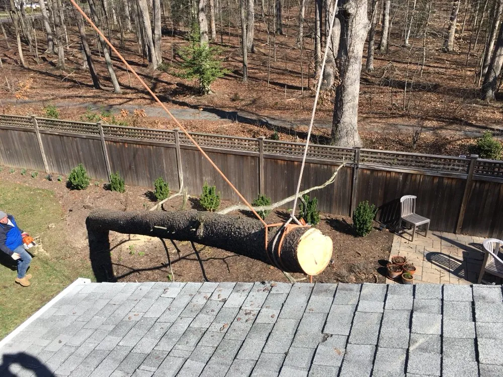 Affordable landscape installation for year-round maintenance in Alexandria, VA by Cortes Landscape