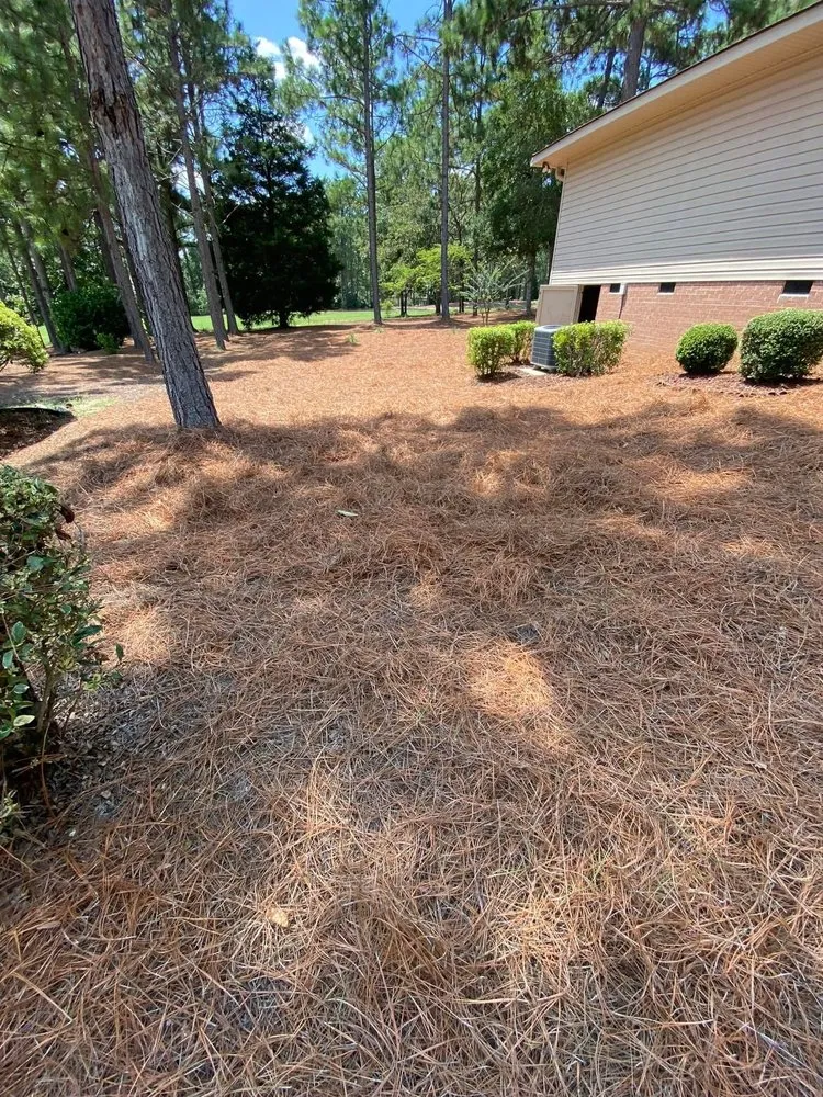 Trusted landscape design in Ellerbe, NC by Cortes Landscape