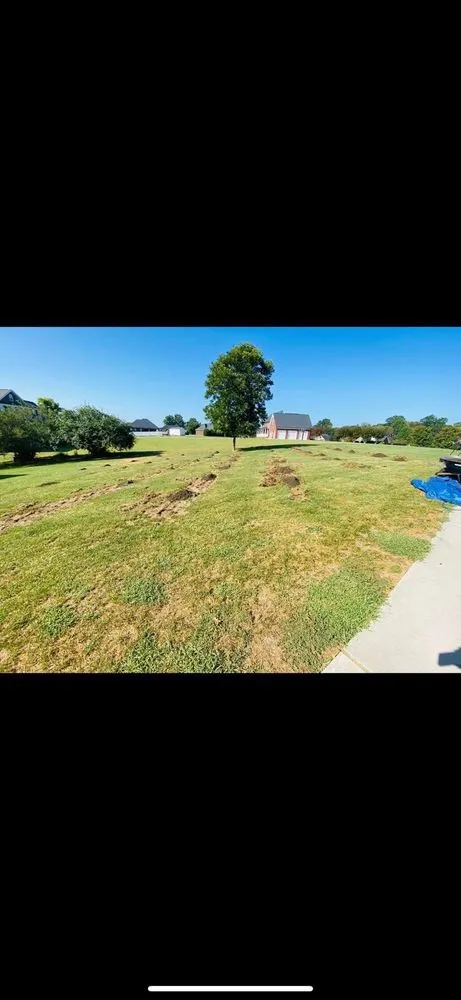 Affordable yard maintenance near you across Ellerbe, NC - Cortes Landscape