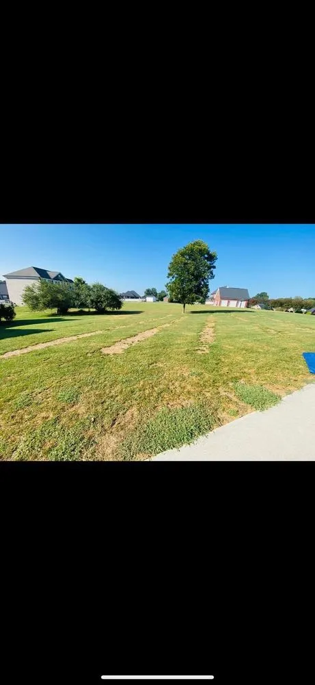 Local landscape design experts serving Ellerbe, NC - Cortes Landscape