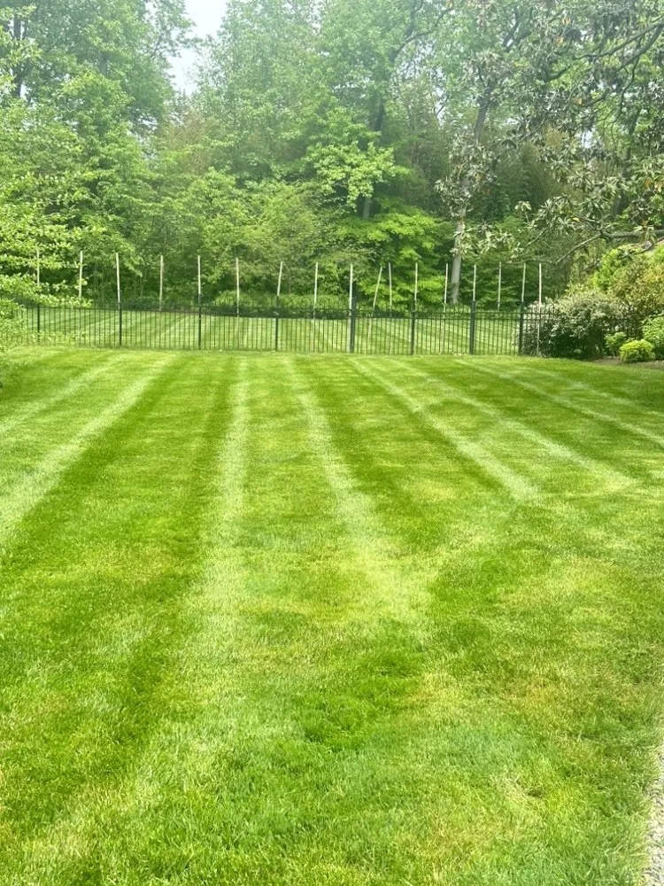 Professional landscaping services experts serving Engleside, VA - Cortes Lawn Care