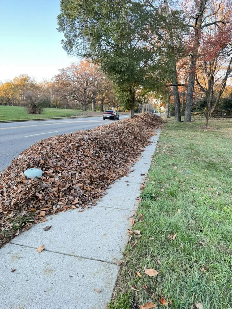 Local outdoor landscaping experts serving Engleside, VA - Cortes Lawn Care