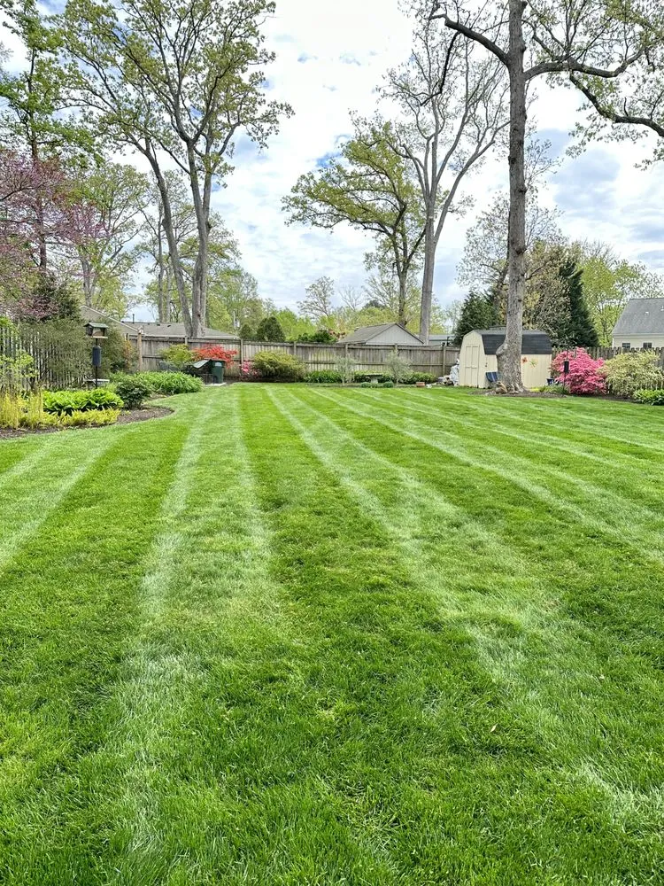 Trusted landscape installation experts serving Engleside, VA - Cortes Lawn Care