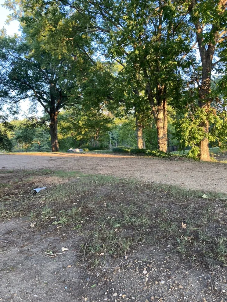 Affordable outdoor landscaping in Greenwood, MS by Cortes Lawn Care