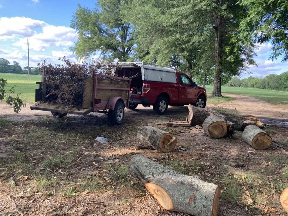 Professional outdoor landscaping in Greenwood, MS by Cortes Lawn Care