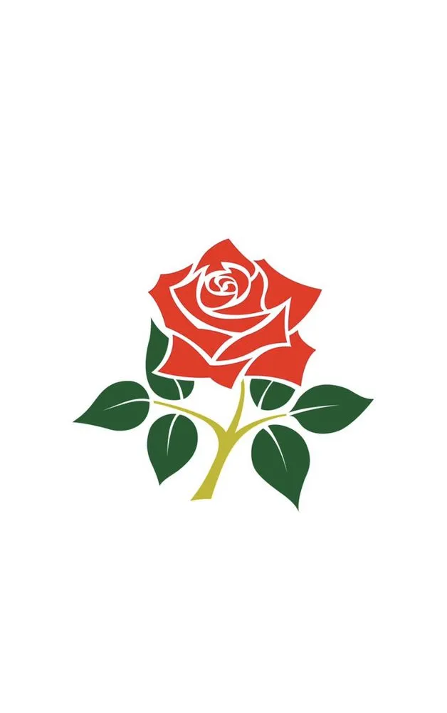 Affordable garden landscaping in Atlanta, GA by Corteslandscaping