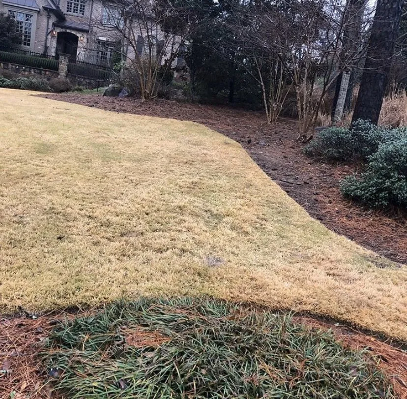 Local lawn care service for residential properties across Atlanta, GA - Corteslandscaping