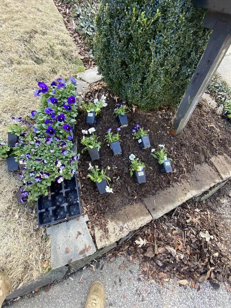 Top-rated garden landscaping in Atlanta, GA by Corteslandscaping