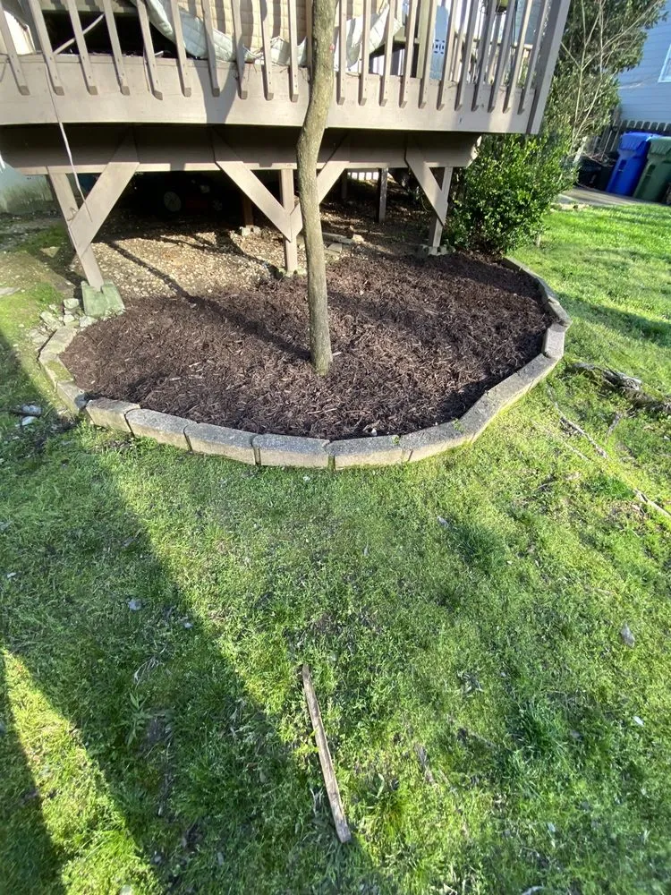 Trusted yard maintenance experts serving Atlanta, GA - Corteslandscaping