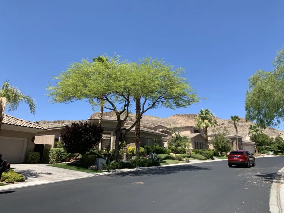 Top-rated yard cleanup service experts serving Las Vegas, NV - Cortez & J & A Lawn services