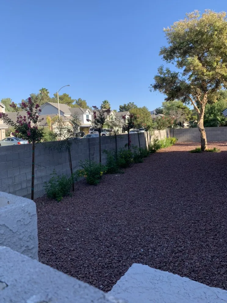 Local yard cleanup service for outdoor upgrades in Las Vegas, NV by Cortez & J & A Lawn services