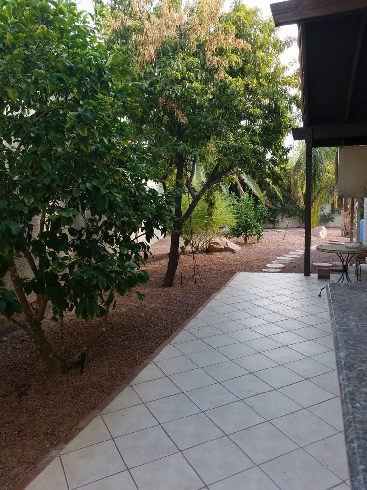 Professional yard cleanup service for homes across Las Vegas, NV - Cortez & J & A Lawn services