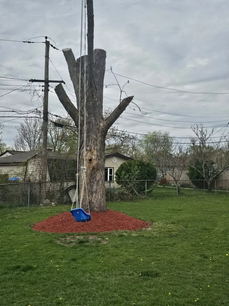 Trusted landscape installation experts serving Carpentersville, IL - Cortez And Acevedo Landscaping And Tree Services