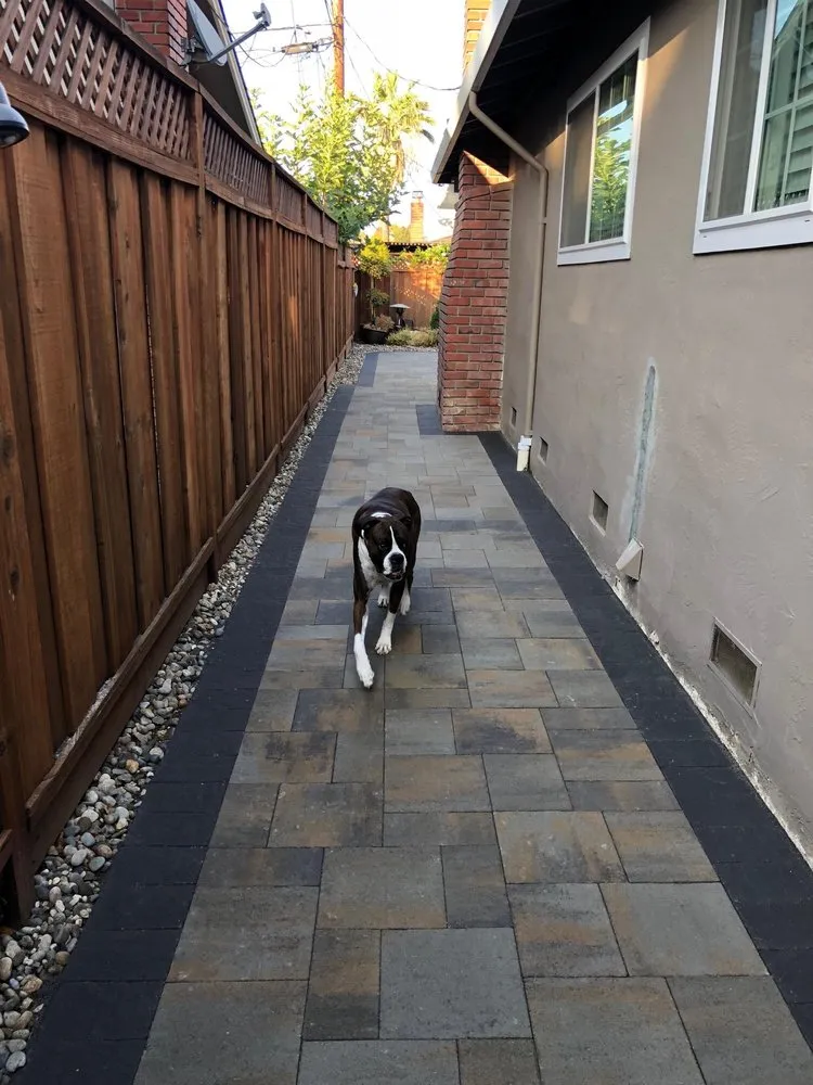 Expert landscape design for year-round maintenance in San Jose, CA by Cortez Builders