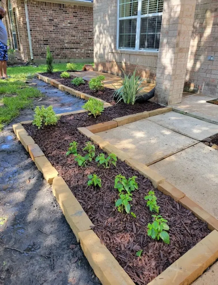 Professional lawn care service in Mont Belvieu, TX - Cortez Complete Lawn Care