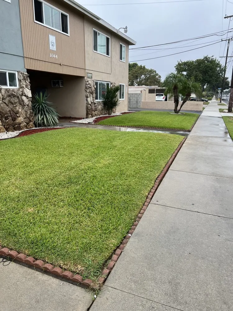 Top-rated landscaping services experts serving Lynwood, CA - Cortez Landscape Services