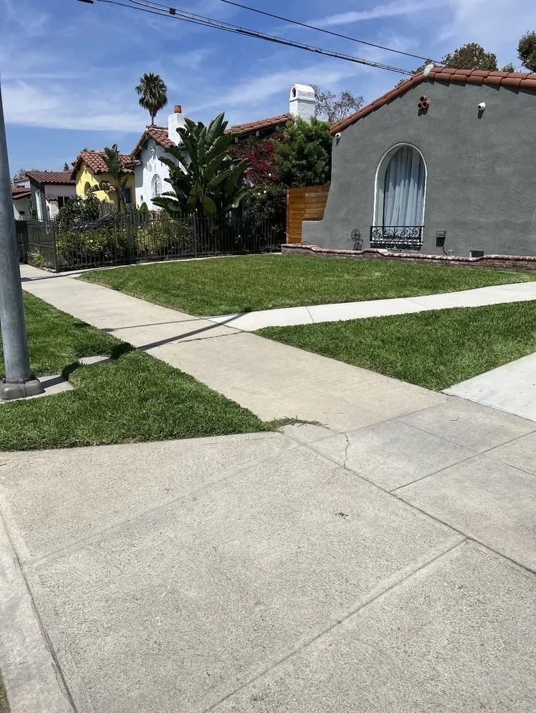 Local landscape installation for beautiful yards in Lynwood, CA by Cortez Landscape Services