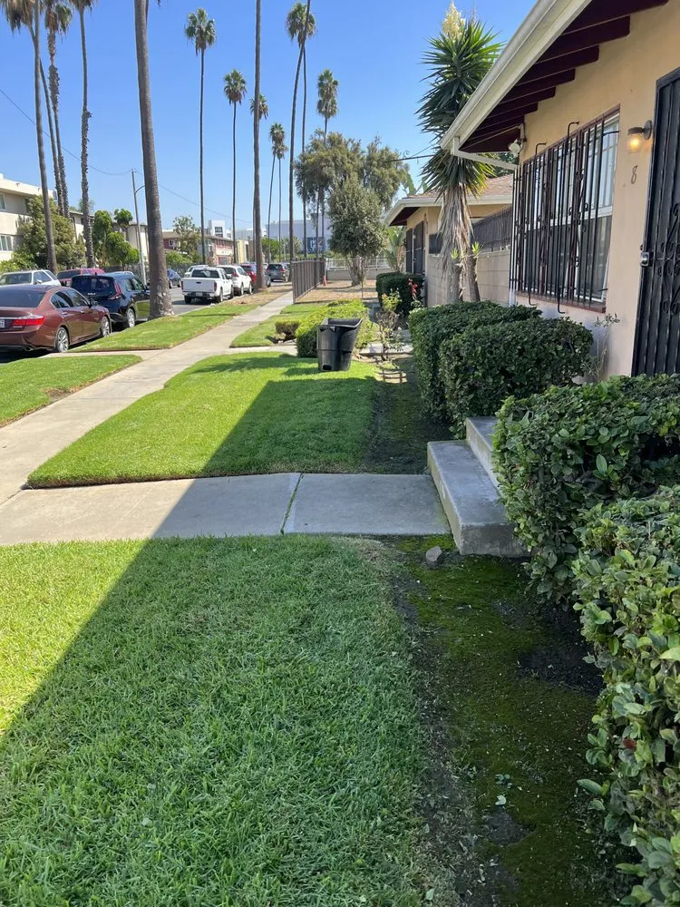 Local landscape design experts serving Lynwood, CA - Cortez Landscape Services