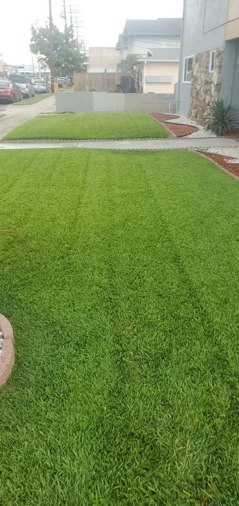 Trusted lawn care service with custom design across Lynwood, CA - Cortez Landscape Services