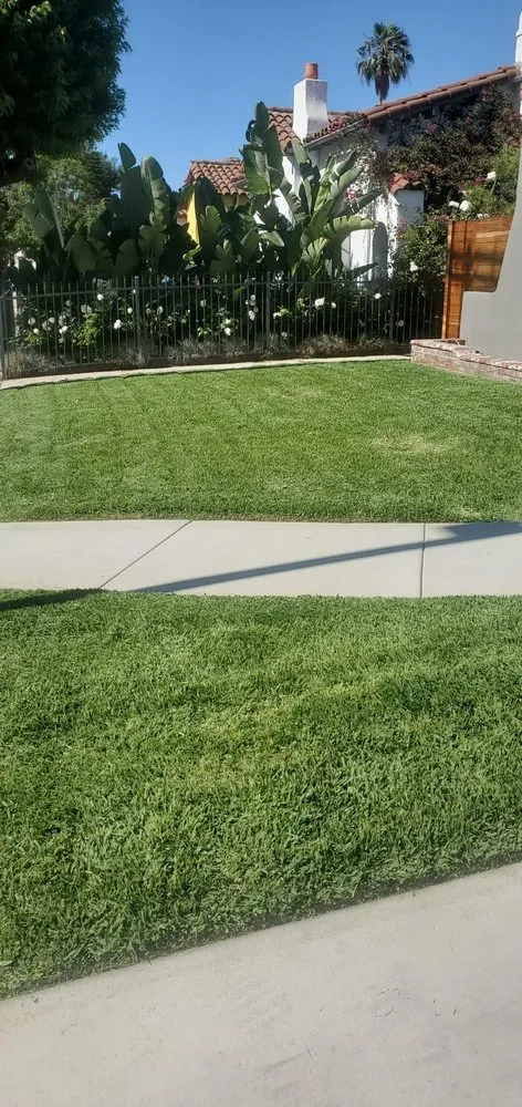 Top-rated outdoor landscaping in Lynwood, CA - Cortez Landscape Services