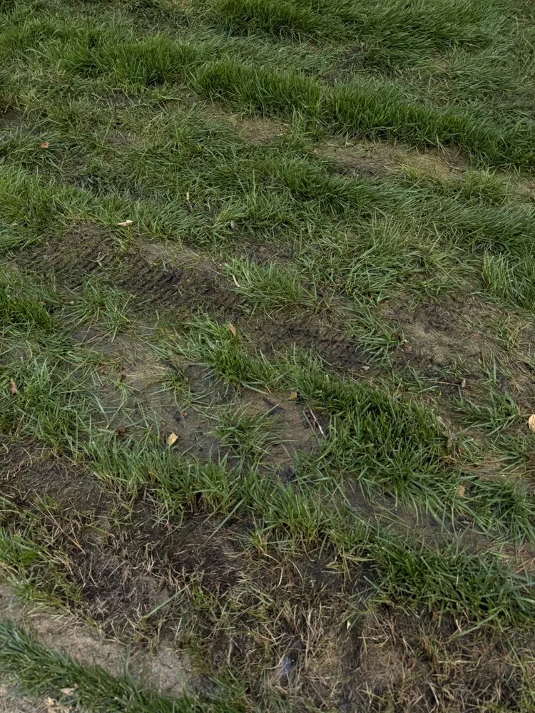 Custom garden landscaping experts serving Georgetown, DE - Cortez Landscapes