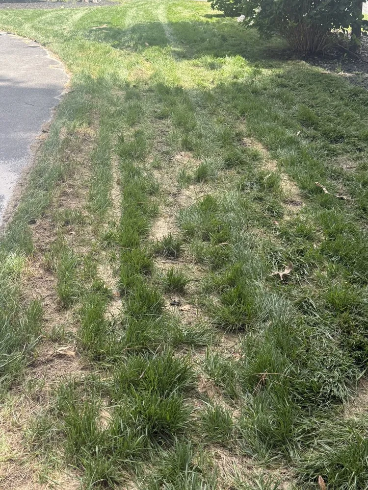 Top-rated residential landscaping near you in Georgetown, DE by Cortez Landscapes