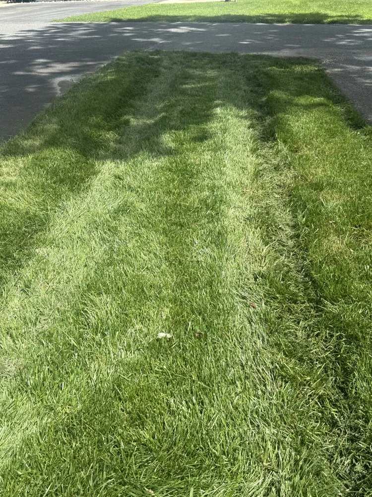 Top-rated landscape design in Georgetown, DE - Cortez Landscapes