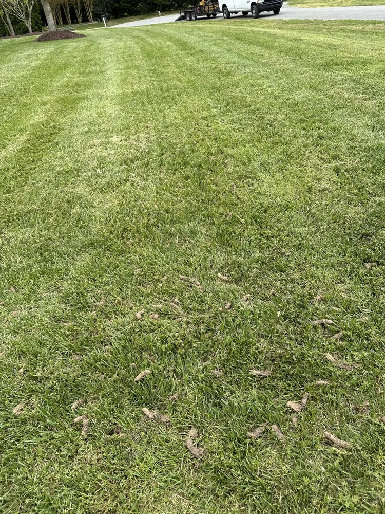 Reliable garden landscaping in Georgetown, DE - Cortez Landscapes