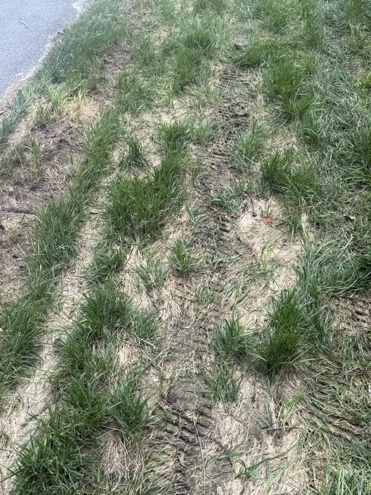 Local lawn mowing service near you across Georgetown, DE - Cortez Landscapes