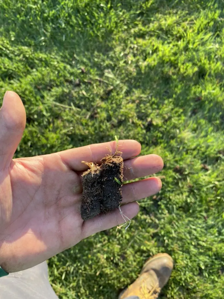 Reliable landscape design experts serving Georgetown, DE - Cortez Landscapes