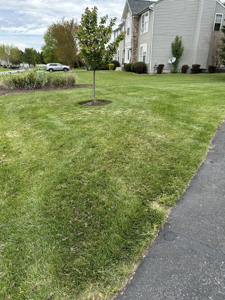 Custom landscaping services experts serving Georgetown, DE - Cortez Landscapes