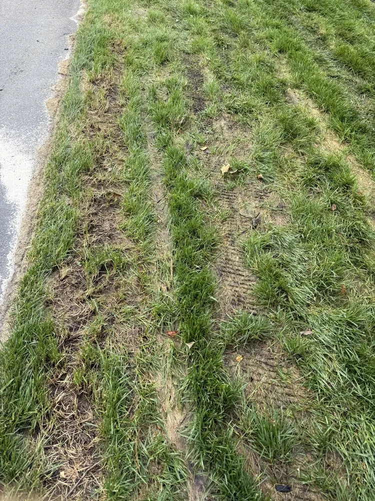 Local yard maintenance in Georgetown, DE by Cortez Landscapes