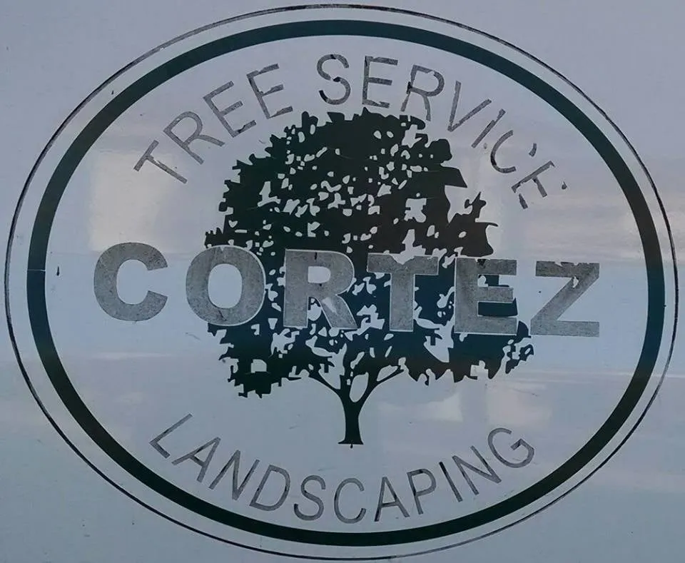 Trusted landscaping services for year-round maintenance across West Covina, CA - Cortez Landscaping & Tree Service