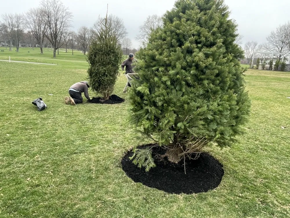 Custom lawn care service in Seaside Heights, NJ by Cortez Landscaping and Maintenance