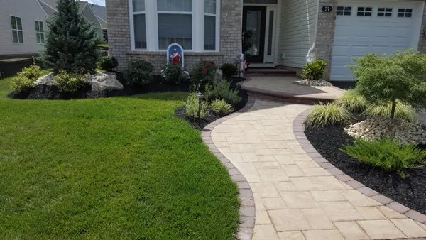 Cortez Landscaping and Maintenance
