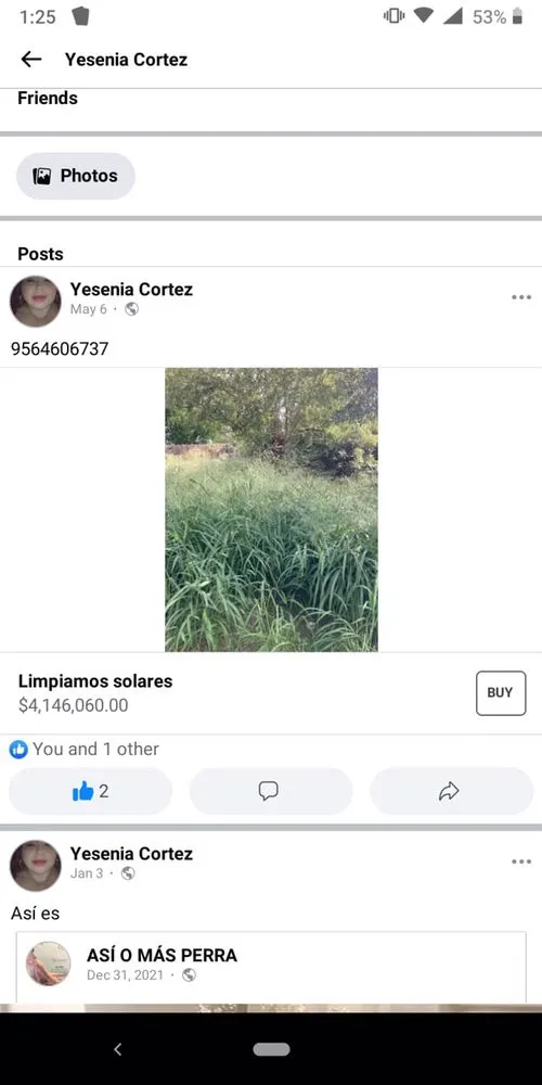 Custom lawn mowing service with custom design in Donna, TX by Cortez landscaping and trash removal cleaning services