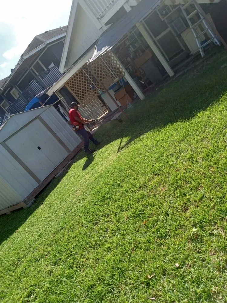 Professional landscape design in Donna, TX - Cortez landscaping and trash removal cleaning services