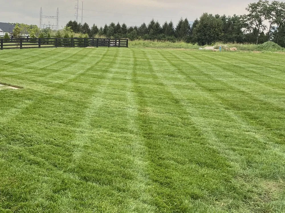 Expert lawn care service experts serving Nicholasville, KY - Cortez Landscaping