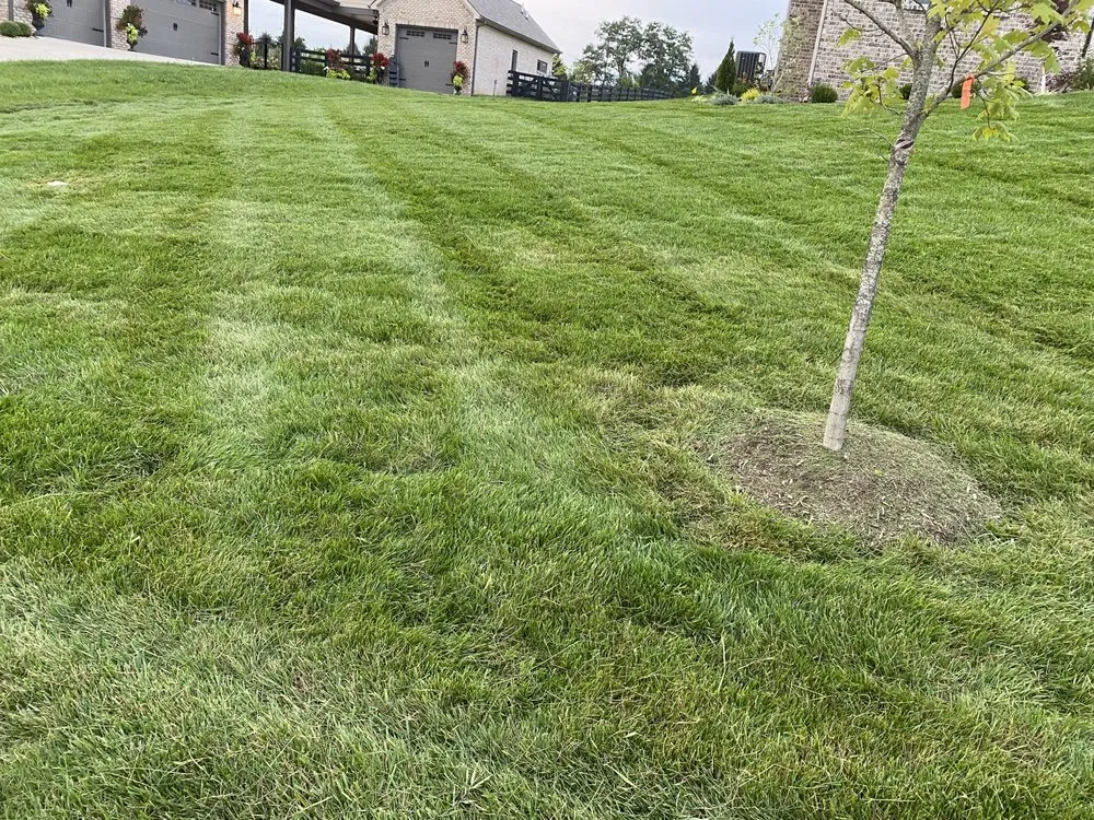 Affordable lawn mowing service in Nicholasville, KY - Cortez Landscaping