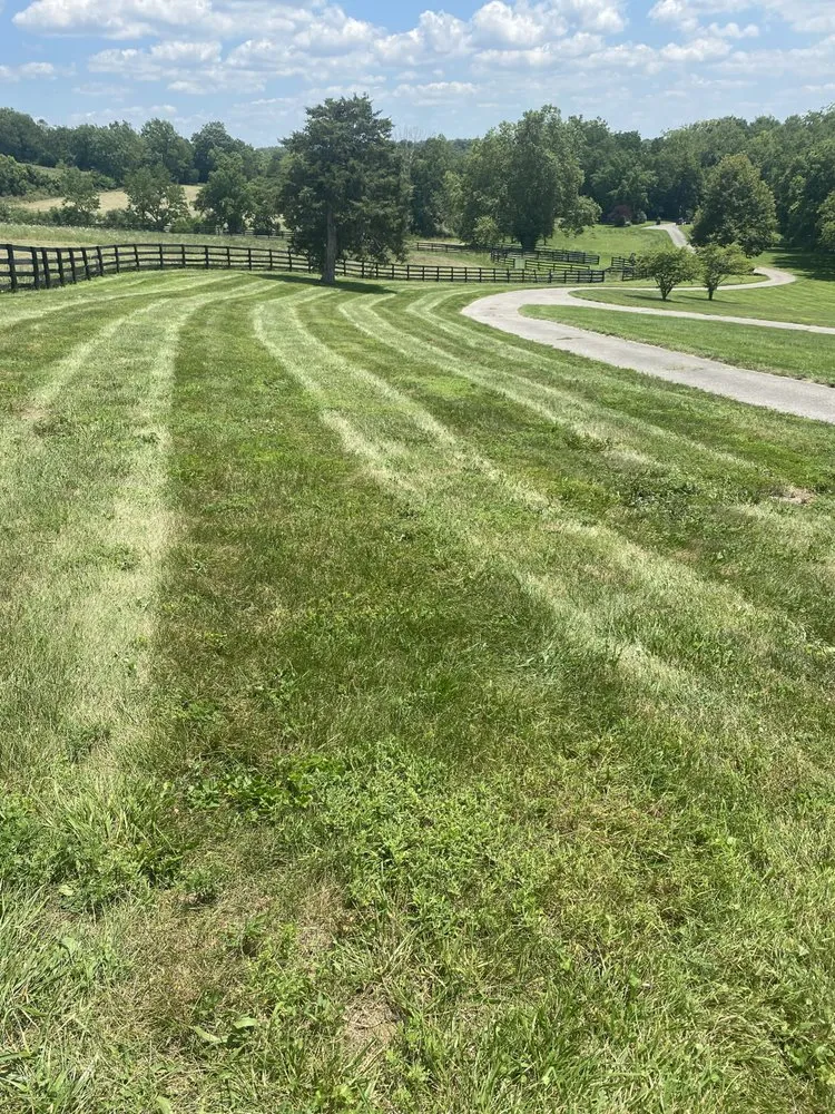 Affordable landscape installation near you across Nicholasville, KY - Cortez Landscaping