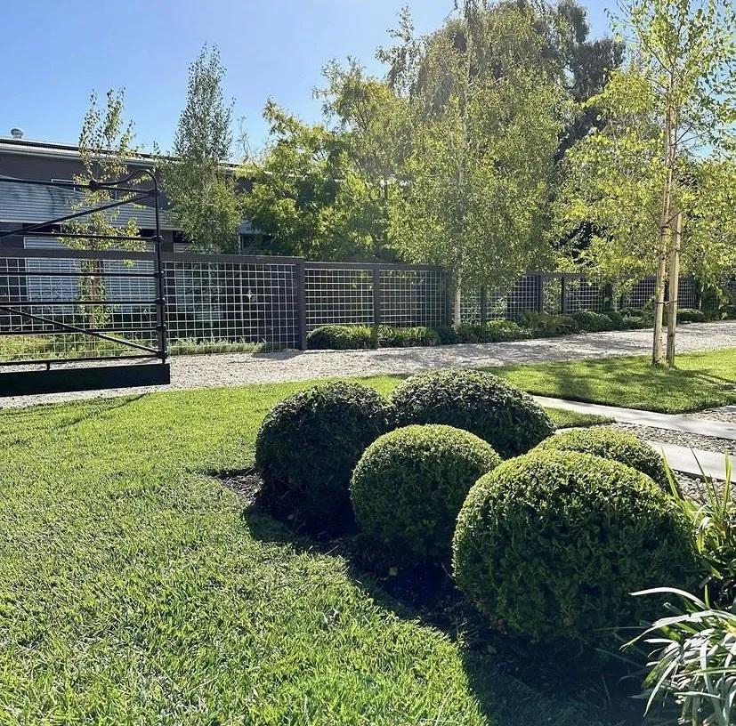 Top-rated outdoor landscaping in San Fernando Valley, CA by Cortez Landscaping