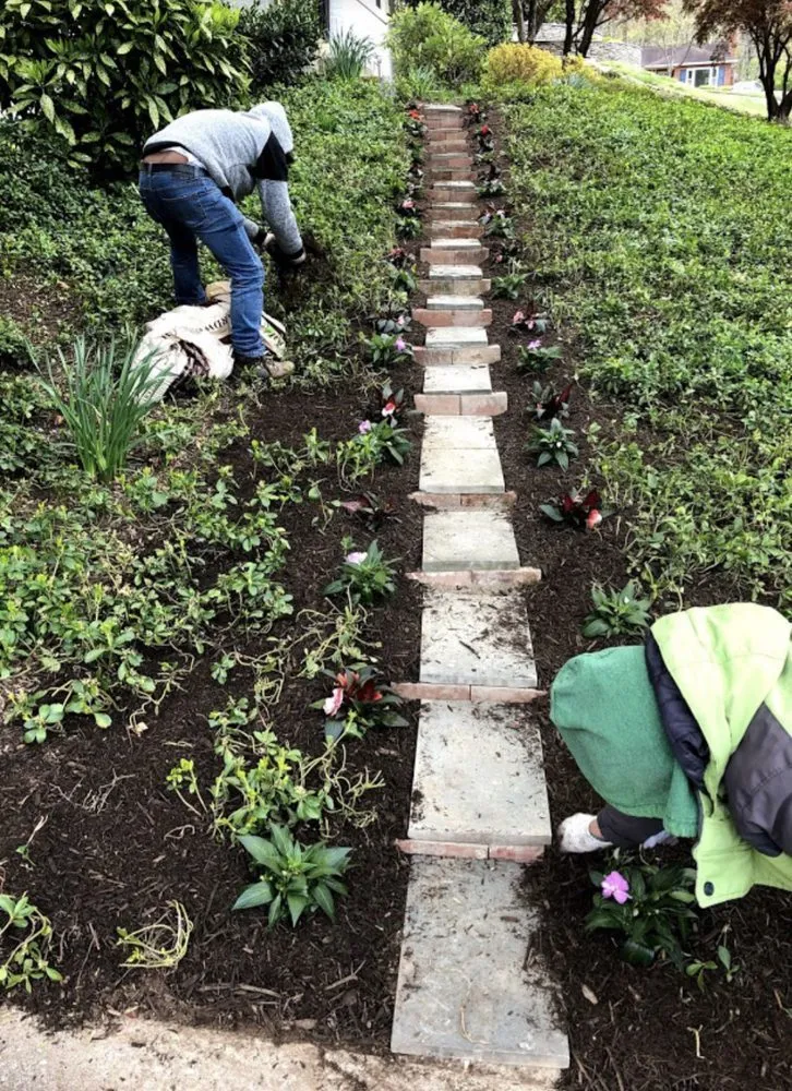 Expert landscape design near you in Arlington, VA by Cortez Lawn & Landscaping