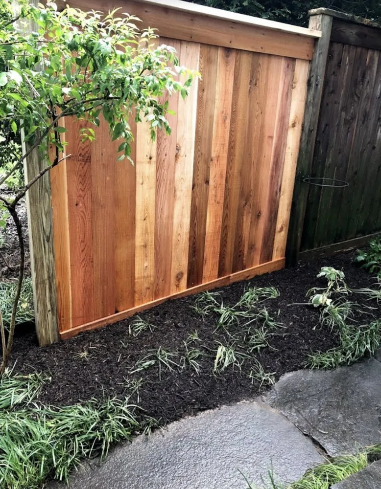 Expert yard maintenance in Arlington, VA by Cortez Lawn & Landscaping