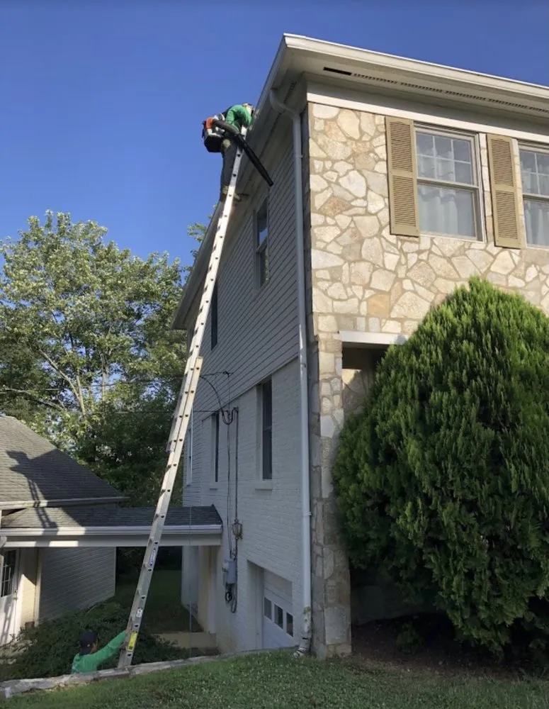 Top-rated yard maintenance in Arlington, VA by Cortez Lawn & Landscaping