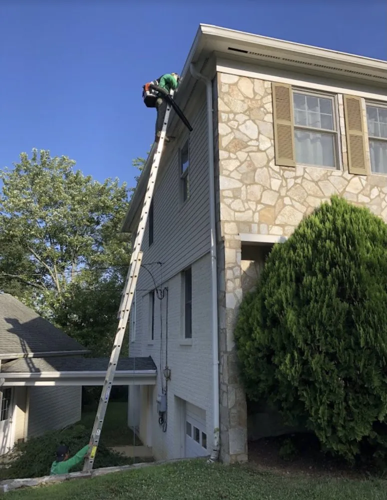 Custom yard maintenance in Arlington, VA - Cortez Lawn & Landscaping