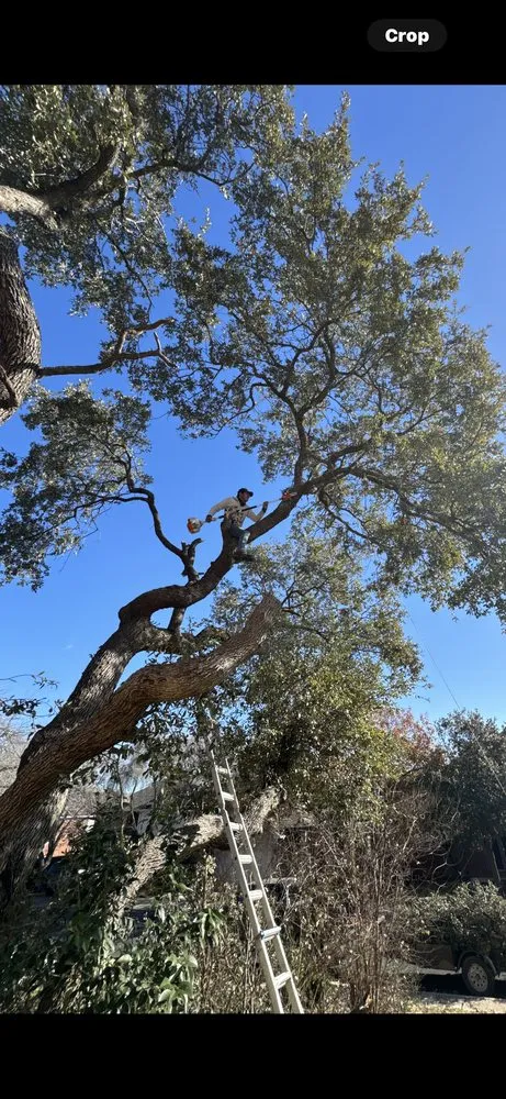 Trusted yard maintenance for residential properties across San Antonio, TX - Cortez Lawn Care