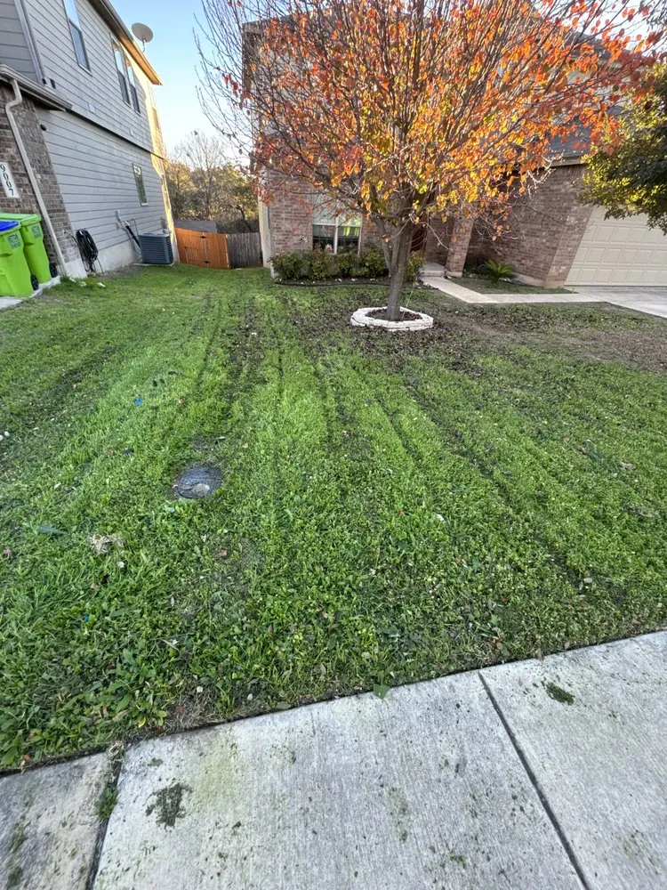 Professional landscape installation in San Antonio, TX - Cortez Lawn Care