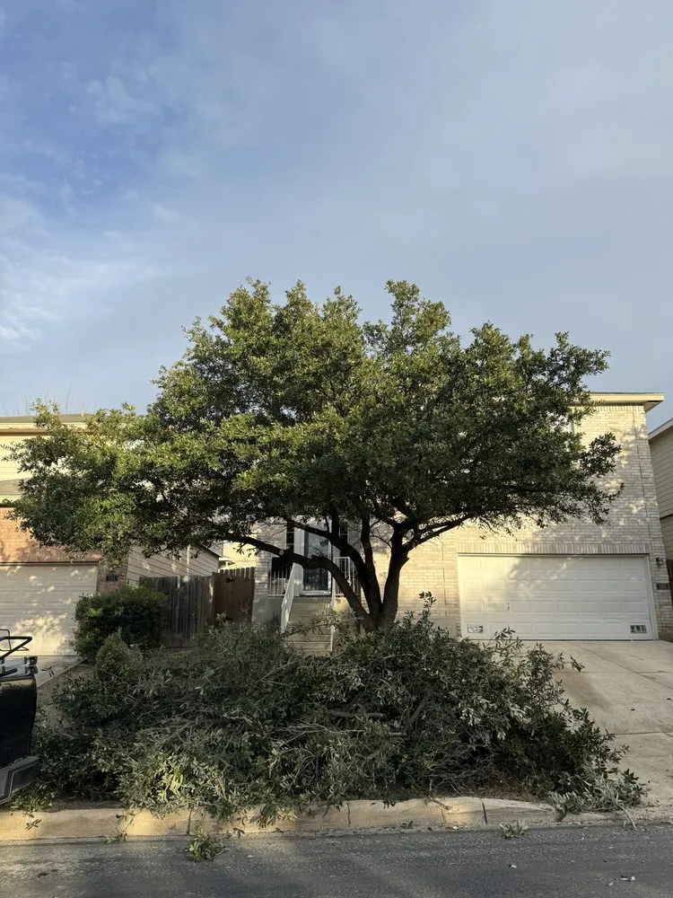 Professional garden landscaping experts serving San Antonio, TX - Cortez Lawn Care