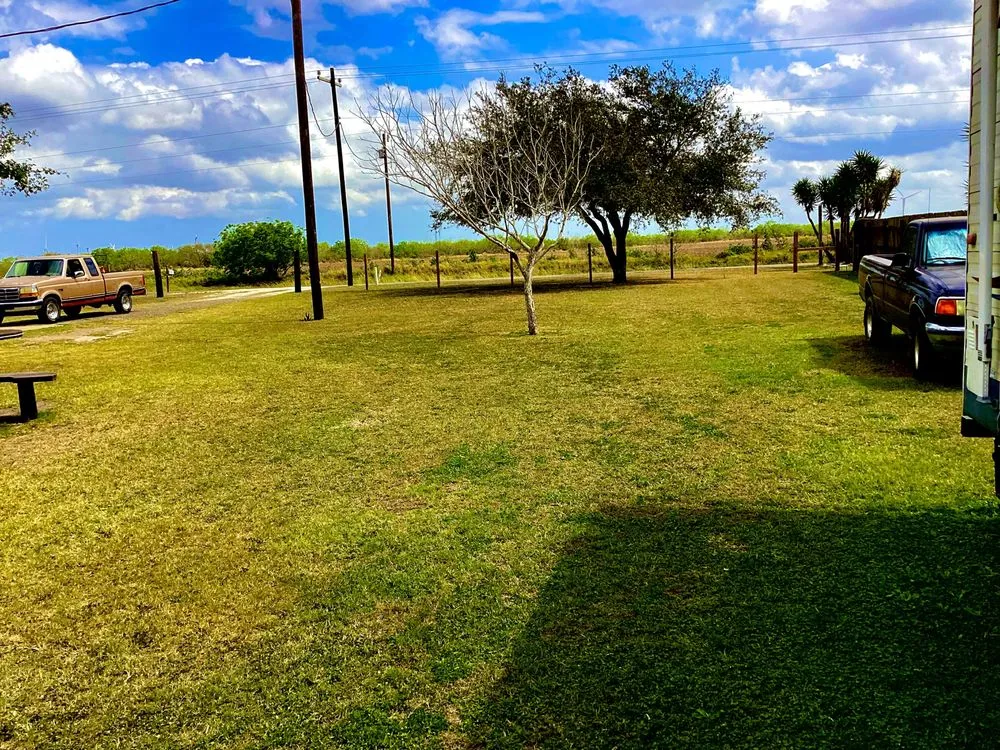 Expert yard maintenance in Rio Hondo, TX - Cortez Lawn Services